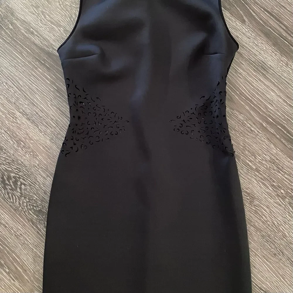 Clover Canyon dress